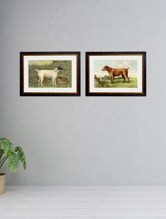 c.1881 Terriers – framed wall art at Leya Buster Interiors
