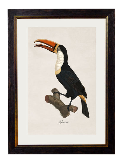 c.1809 Toucans styled view – Leya Buster Interiors
