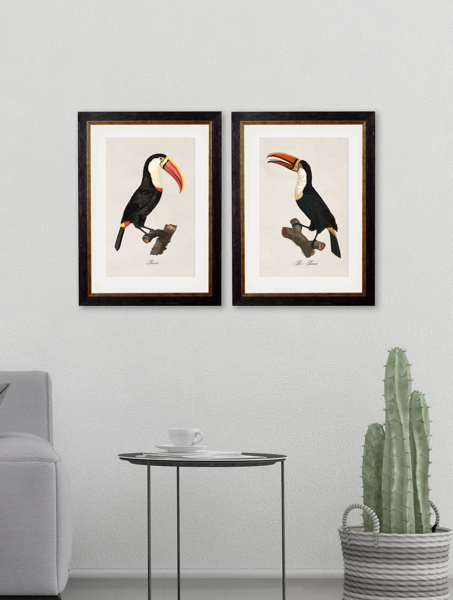 c.1809 Toucans – framed wall art at Leya Buster Interiors