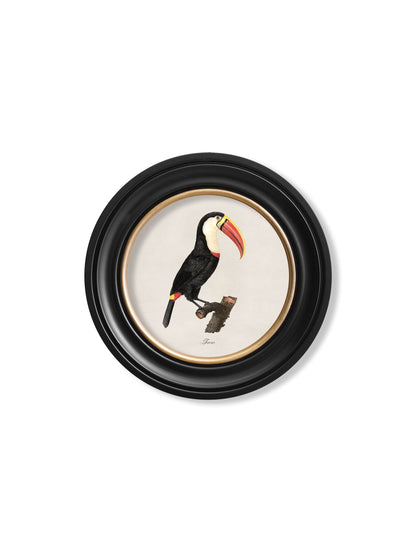 c.1809 Toucans – Round Frame styled view – Leya Buster Interiors