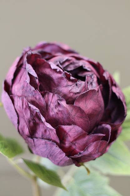 Vintage Peony Bud Stem – Aubergine detail view of the sculptural flower head