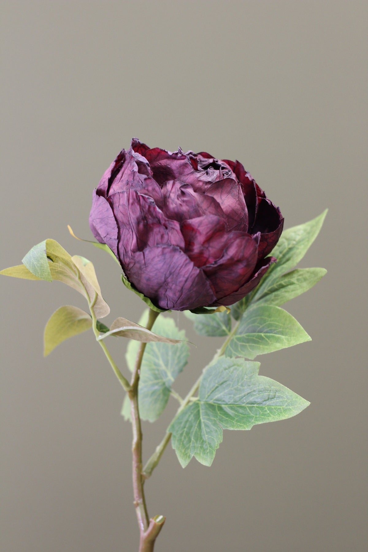 Vintage Peony Bud Stem – Aubergine styled in a moody autumn arrangement