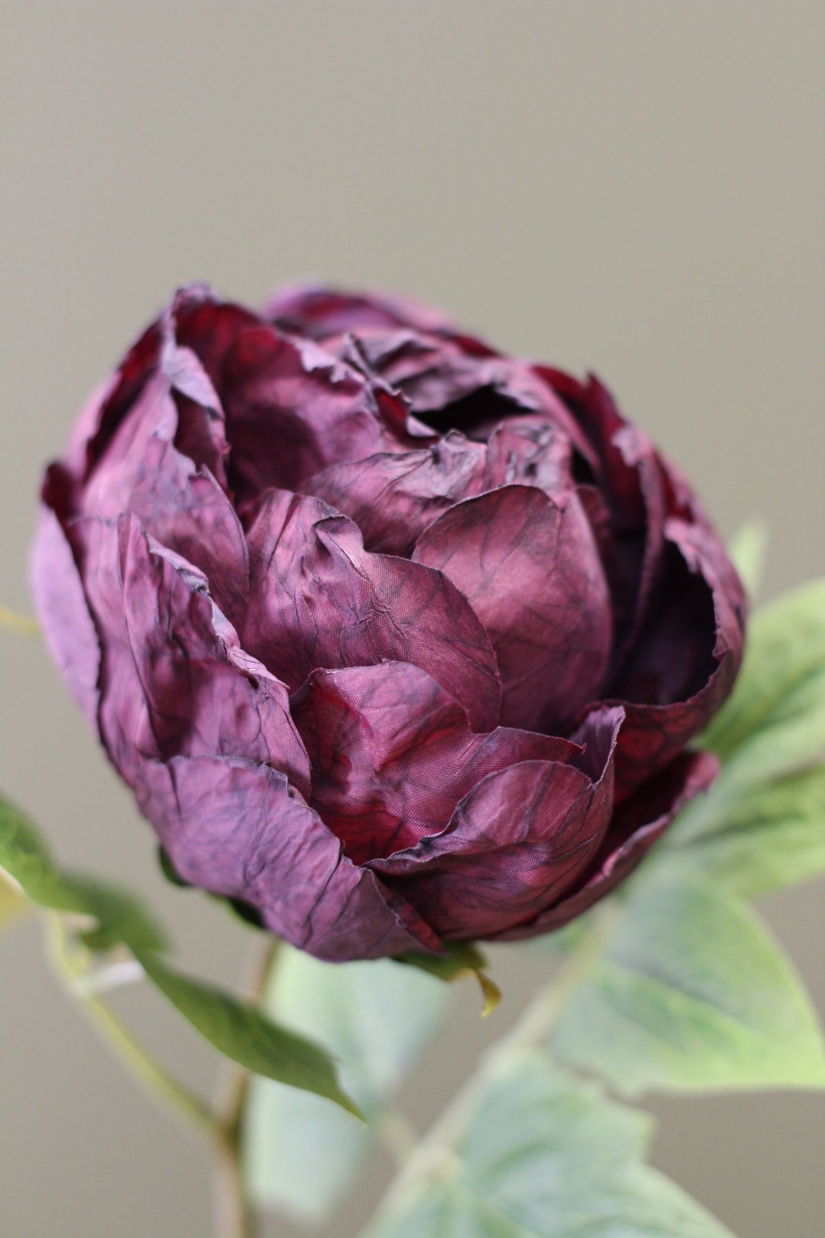 Vintage Peony Bud Stem – Aubergine alternative floral styling view