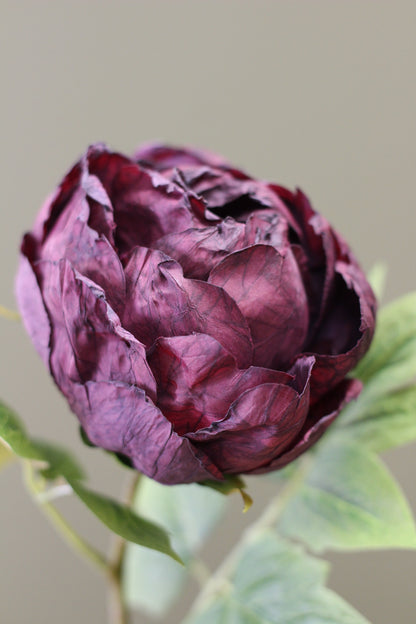 Vintage Peony Bud Stem – Aubergine alternative floral styling view