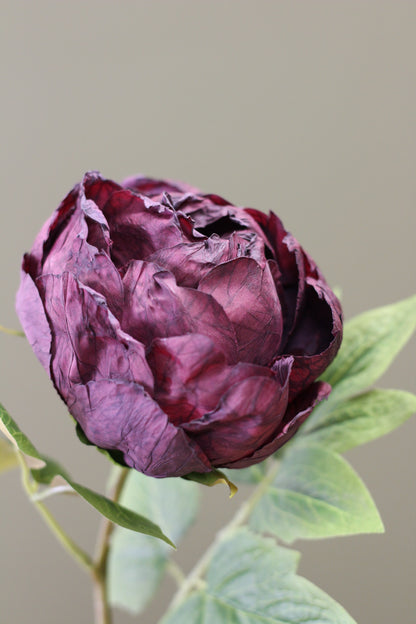 Vintage Peony Bud Stem – Aubergine close view of the faux peony petals