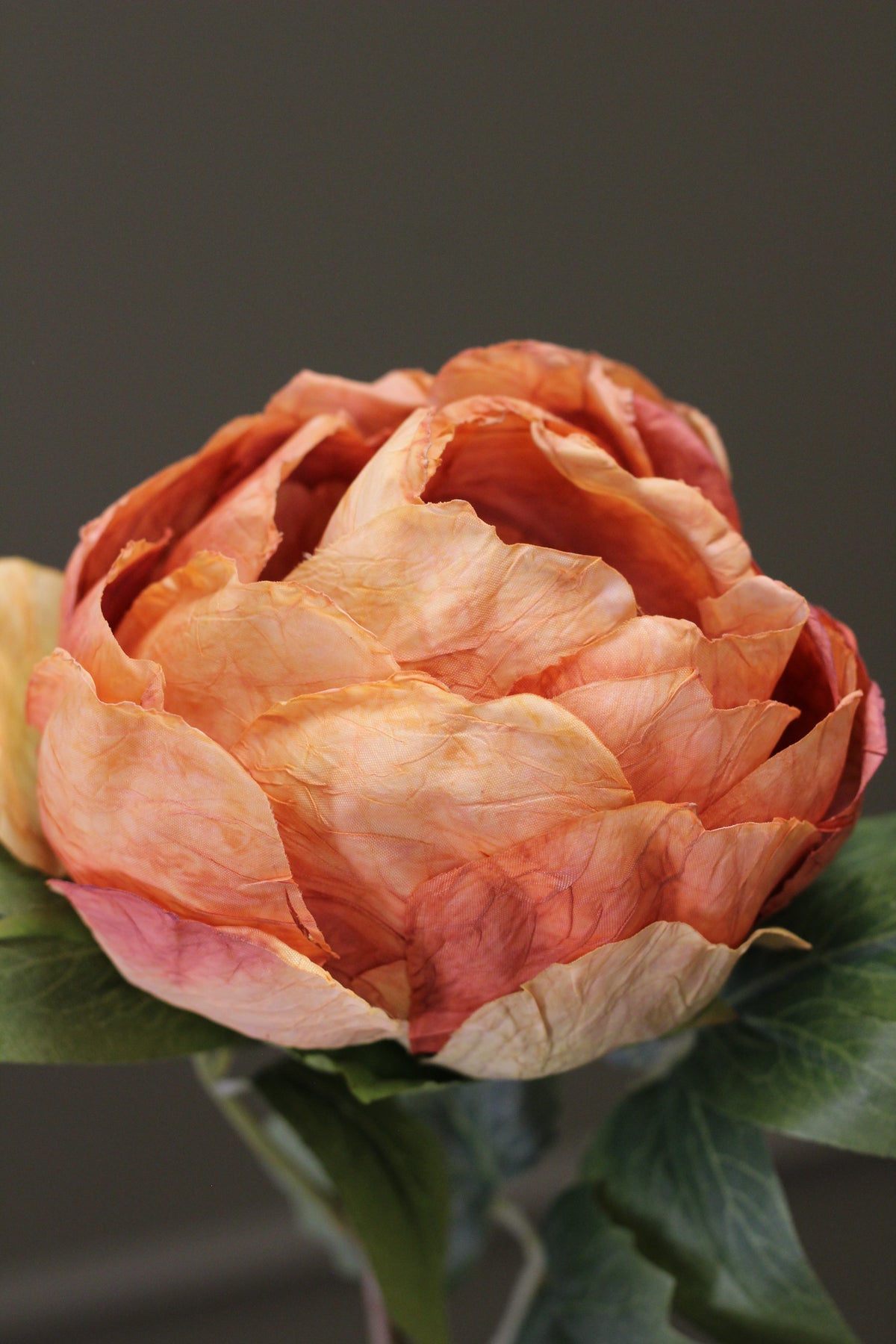 Vintage Peony Bud Stem – Burnt Orange detail view of the sculptural flower head
