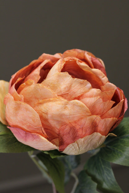Vintage Peony Bud Stem – Burnt Orange detail view of the sculptural flower head