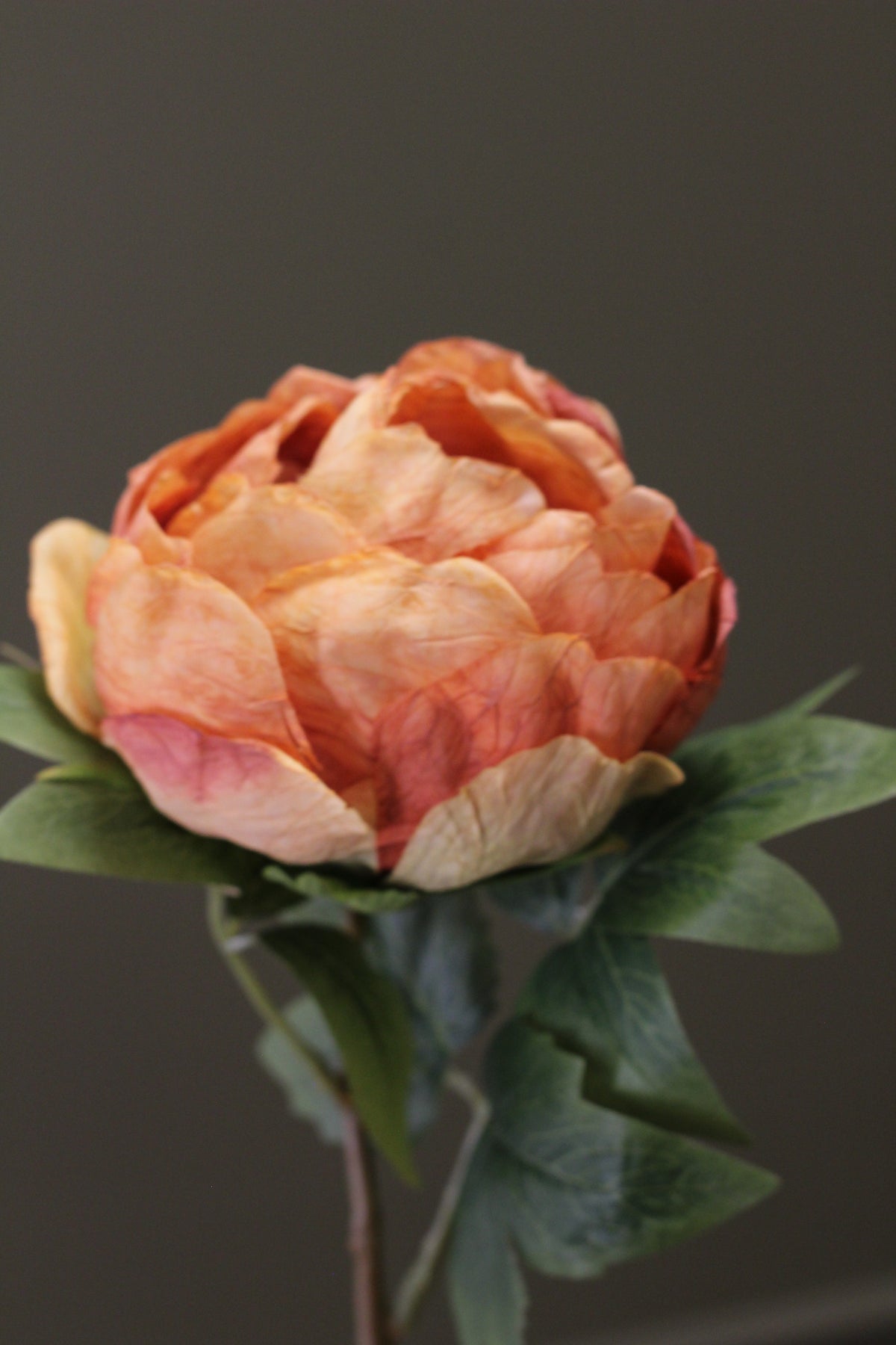 Vintage Peony Bud Stem – Burnt Orange alternative floral styling view