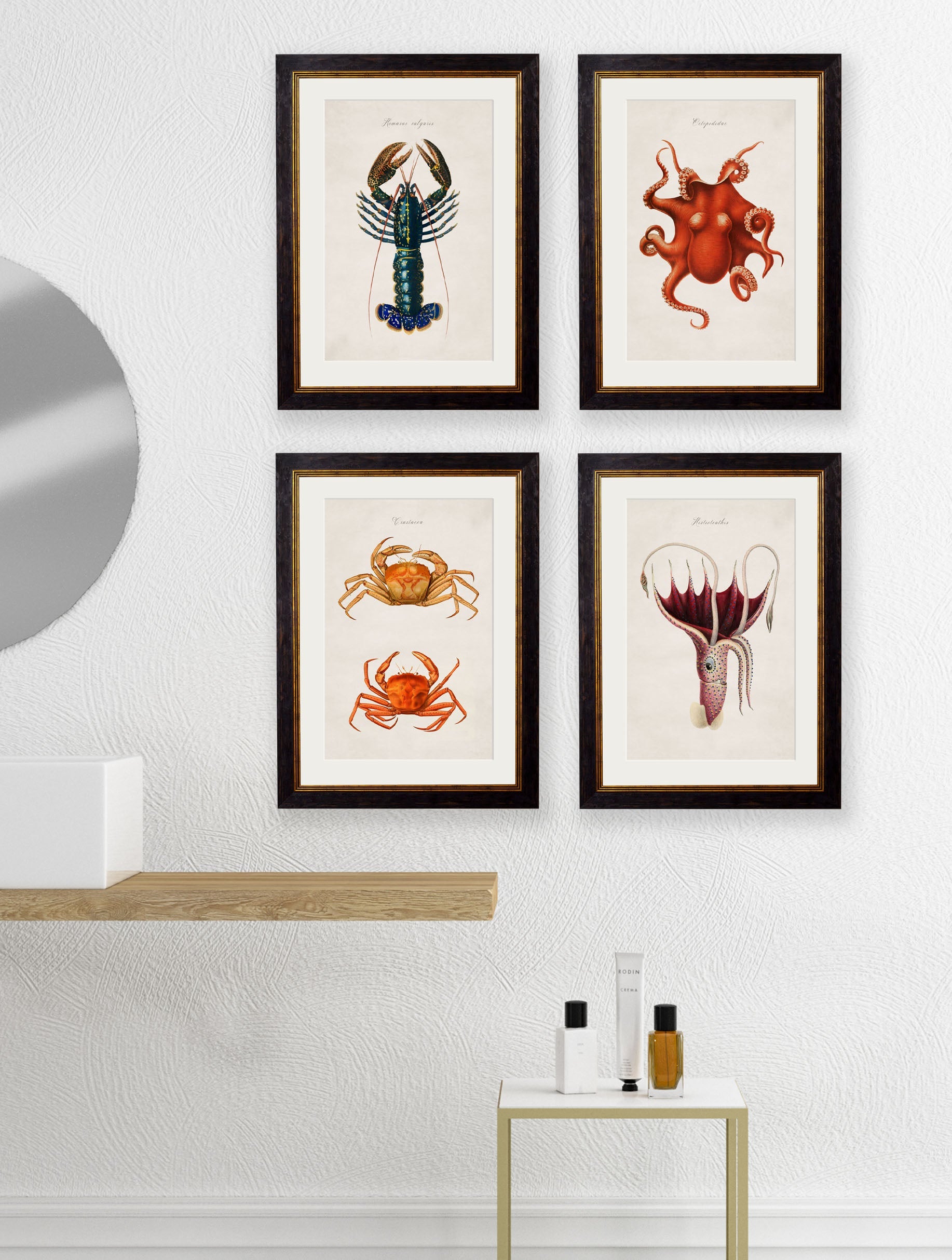 c.1876 Collection of Marine Animals – framed wall art at Leya Buster Interiors