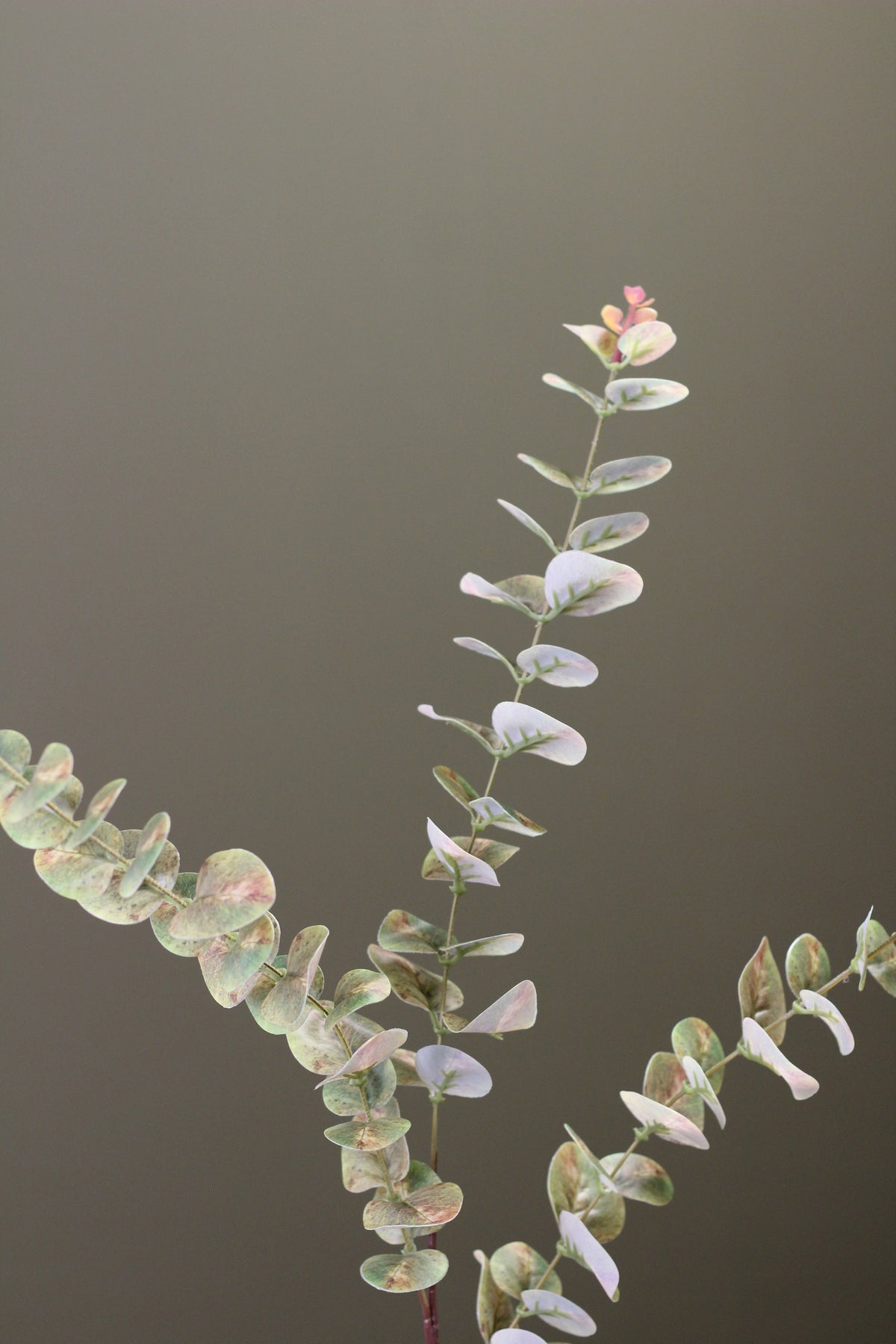 Weathered Sage Eucalyptus Stem faux foliage in a soft muted sage green tone