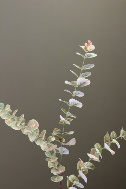 Weathered Sage Eucalyptus Stem faux foliage in a soft muted sage green tone
