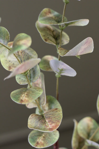 Weathered Sage Eucalyptus Stem detail view of softly weathered faux foliage