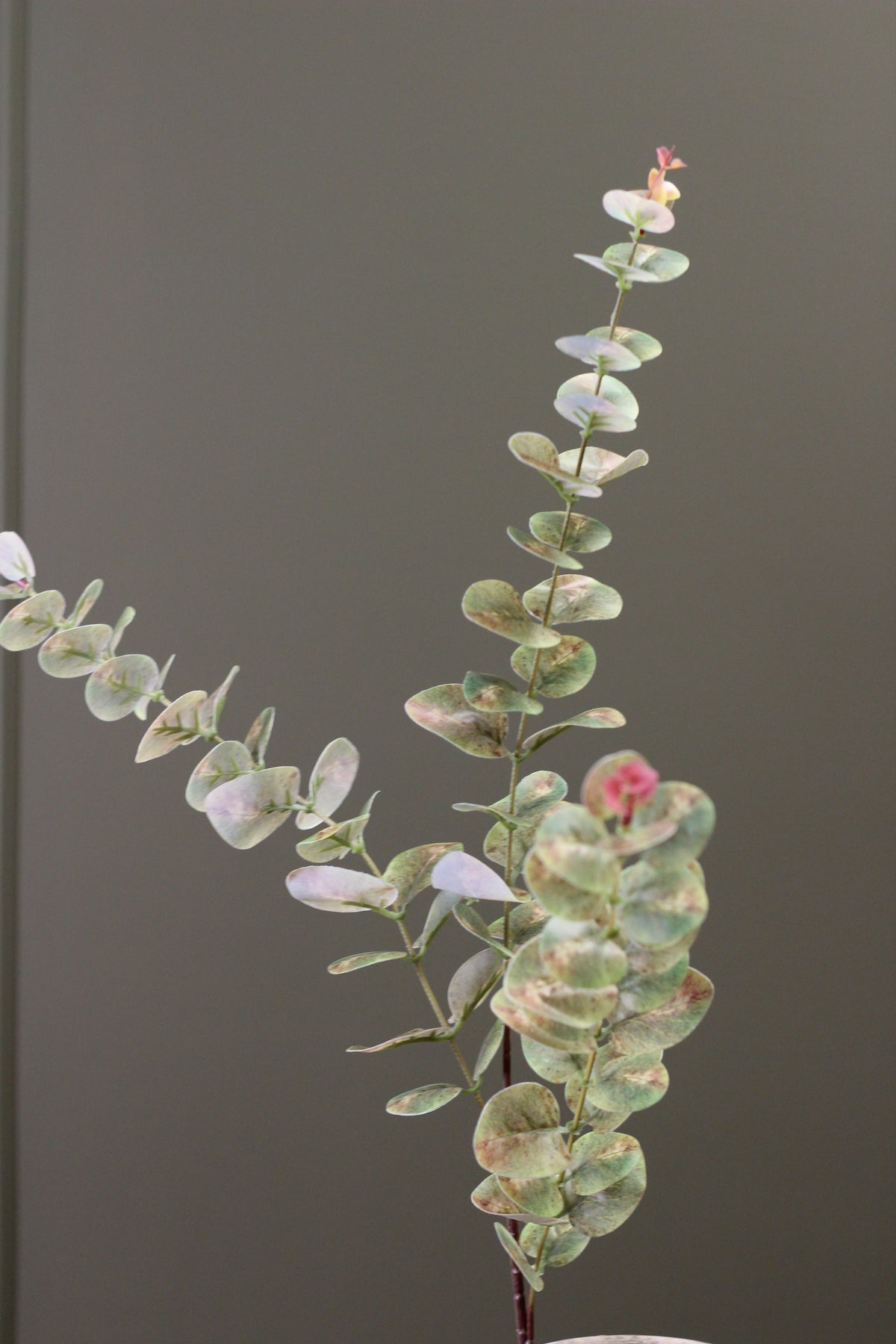 Weathered Sage Eucalyptus Stem styled in a relaxed botanical arrangement