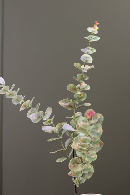 Weathered Sage Eucalyptus Stem styled in a relaxed botanical arrangement