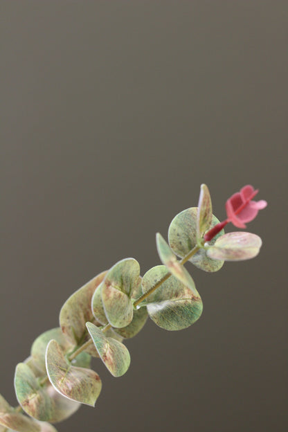 Weathered Sage Eucalyptus Stem alternative view for vase and floral styling