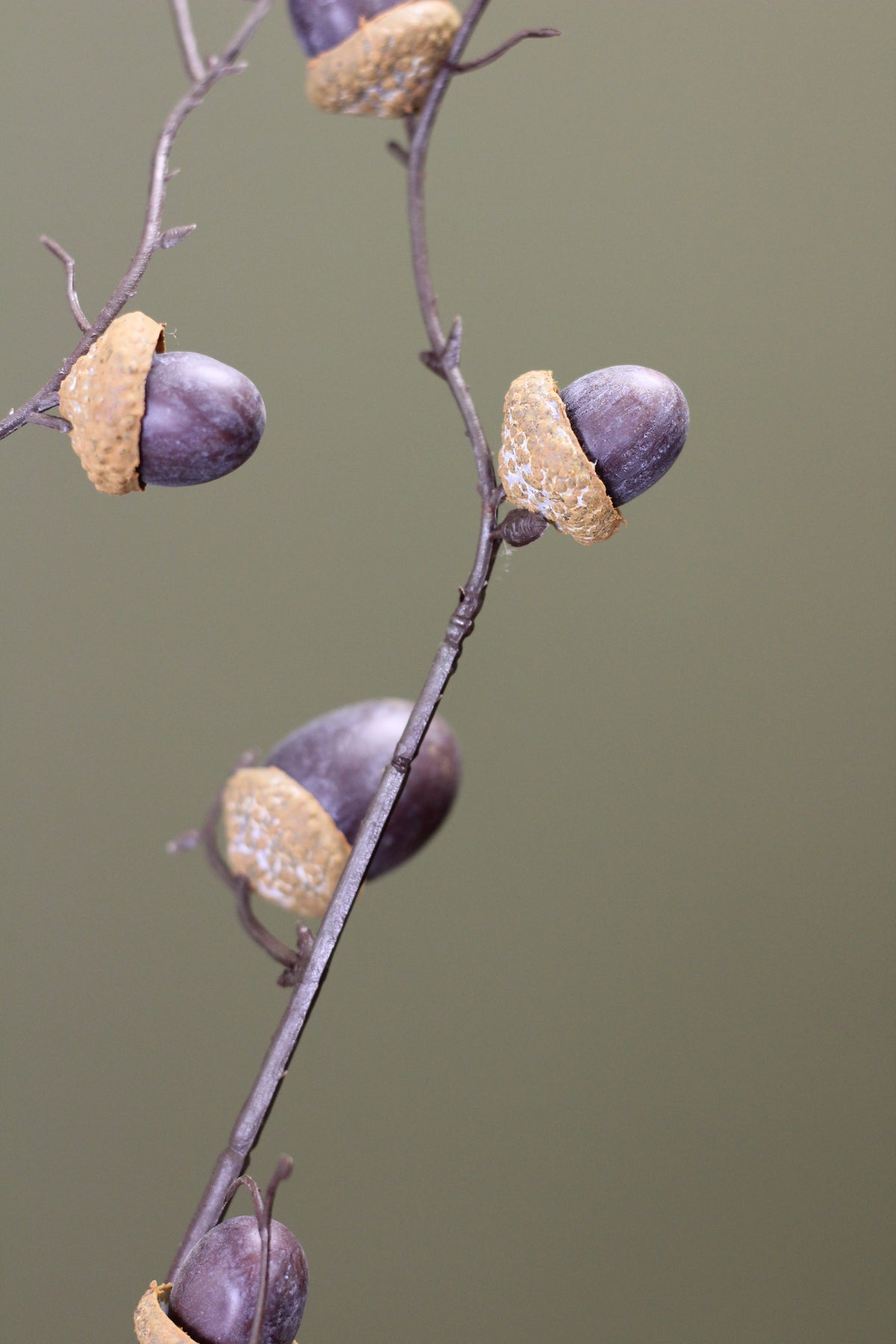 Woodland Acorn Branch – Brown styled for an autumn floral arrangement