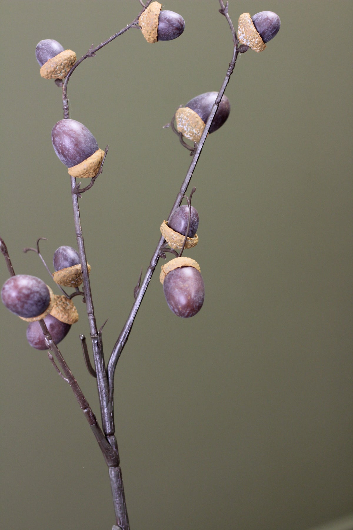 Woodland Acorn Branch – Brown alternative view for seasonal vase styling