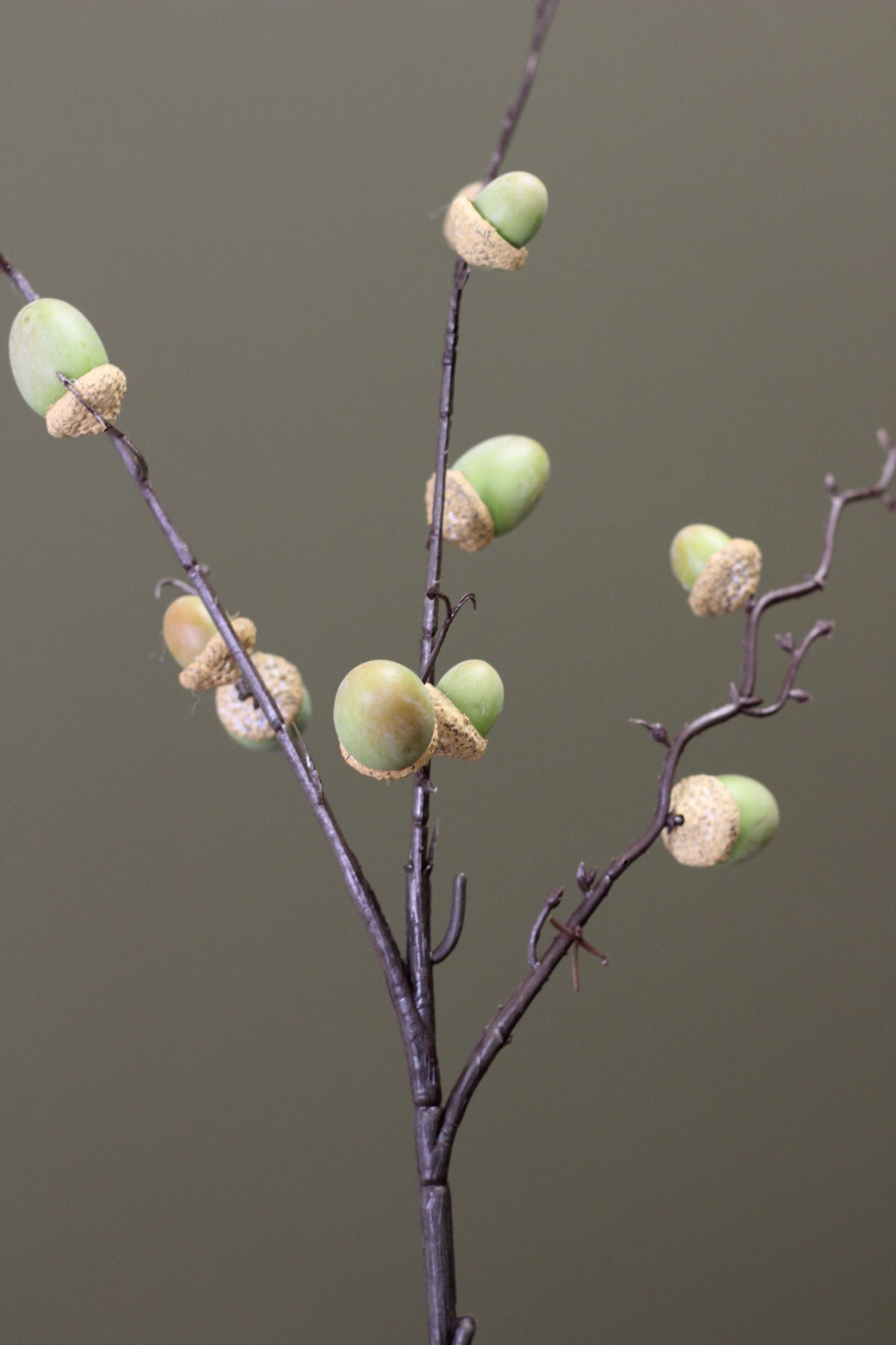 Woodland Acorn Branch – Green styled for an autumn floral arrangement