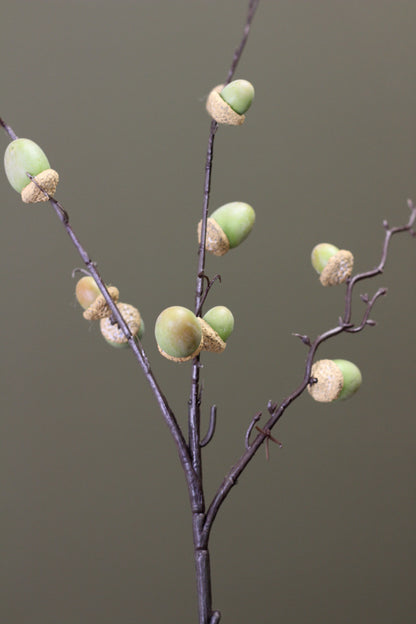 Woodland Acorn Branch – Green styled for an autumn floral arrangement