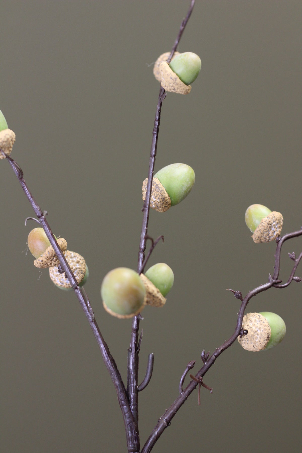 Woodland Acorn Branch – Green alternative view for seasonal vase styling