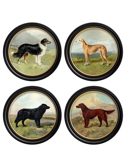 c.1881 Working Dogs – Round Frame detail – Leya Buster Interiors