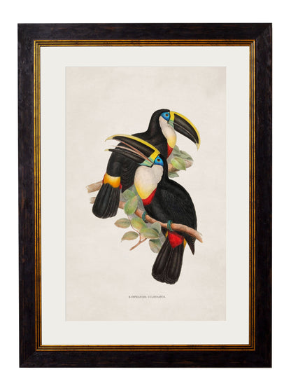 c.1848 Toucans styled view – Leya Buster Interiors